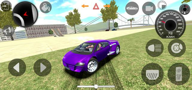 Indian Cars Simulator 3D