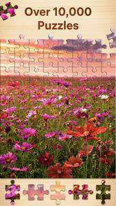 Jigsaw Puzzles