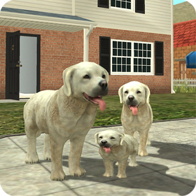 Dog Sim