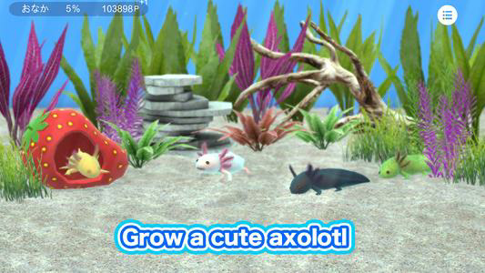 My Axolotl Aquarium