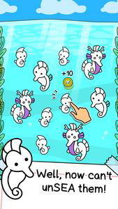 Seahorse Evolution