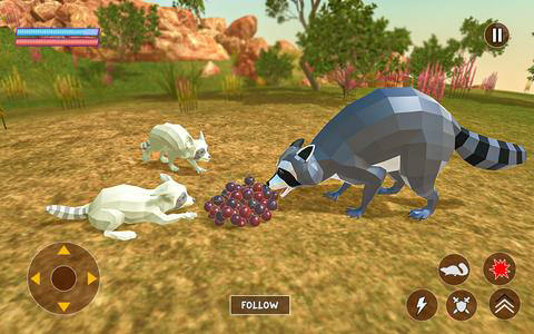 Reccoon Game Wildlife Animals