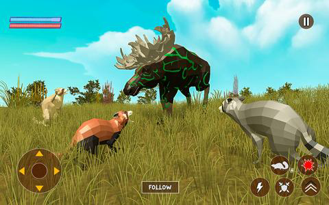 Reccoon Game Wildlife Animals