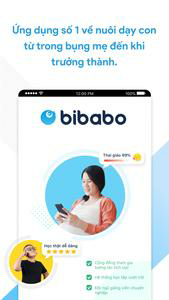 Bibabo 20