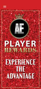 AE Player - Accel Entertainmen