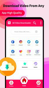 All Video Downloader vidow