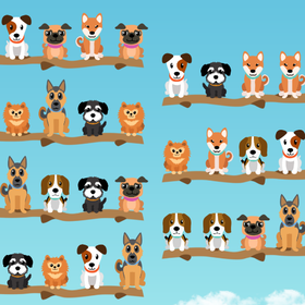 Dog Sort Puzzle