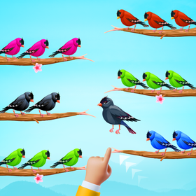 Bird Sorting Master Game