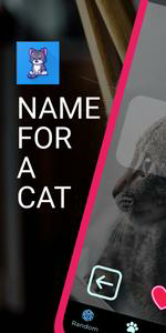 Name for a cat