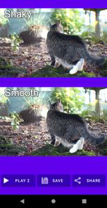 Shaky Video Stabilizer