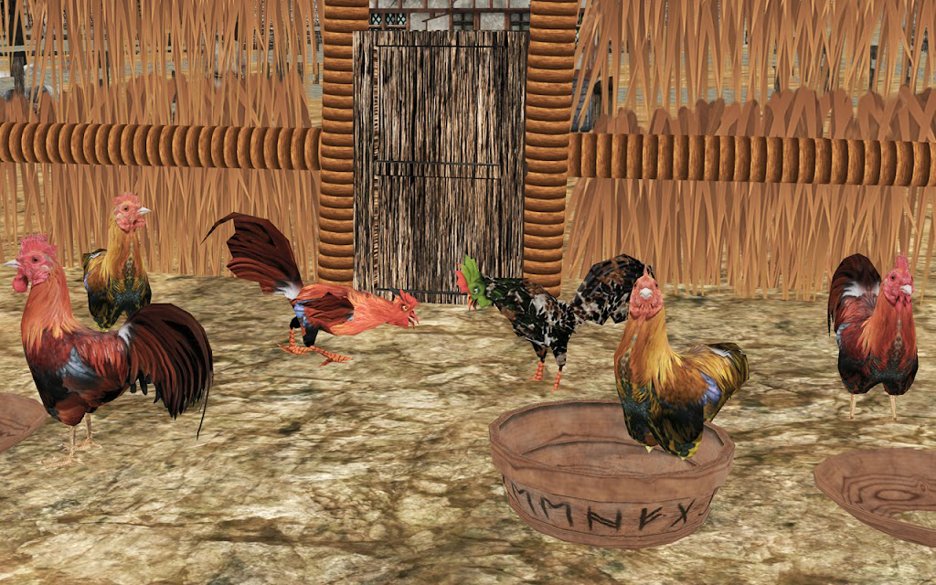 Download Angry Rooster Fight Simulator  APK