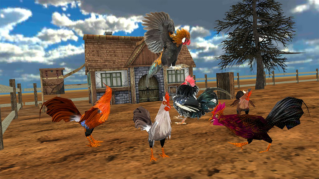 Download Angry Rooster Fight Simulator  APK