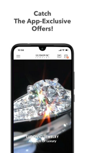 Download Ludovic Moissanite  APK