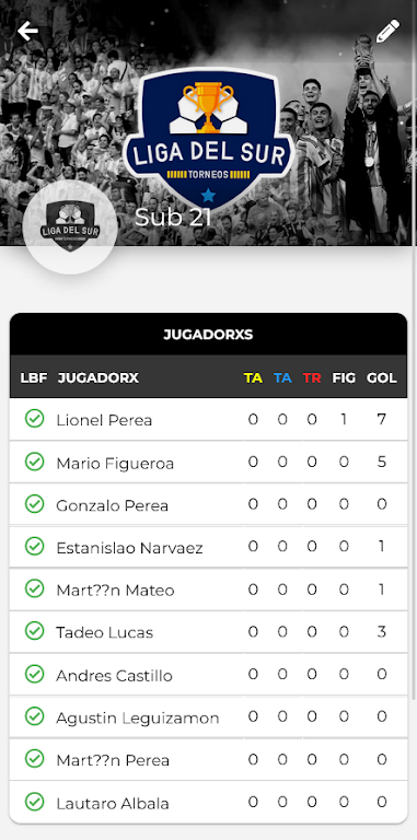 Download Liga del Sur  APK