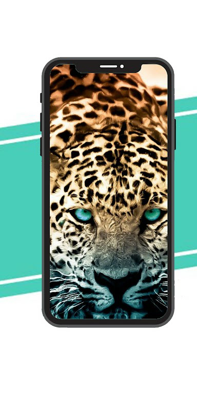 Download Jaguar Wallpaper  APK