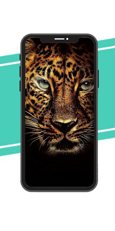 Download Jaguar Wallpaper  APK