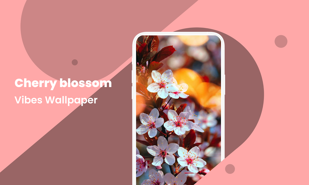 Download Cherry Blossom Wallpaper  APK