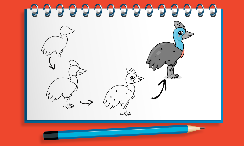 Download How draw animals  APK