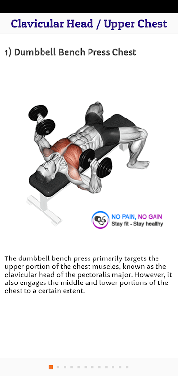 Download Chest Workout / Chest Anatomy  APK