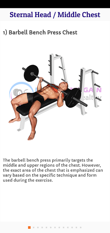 Download Chest Workout / Chest Anatomy  APK