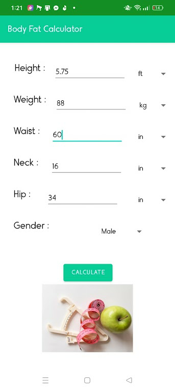 Download Body Fat Calculator  APK