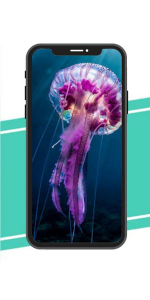 Download Jelly Fish Wallpaper  APK