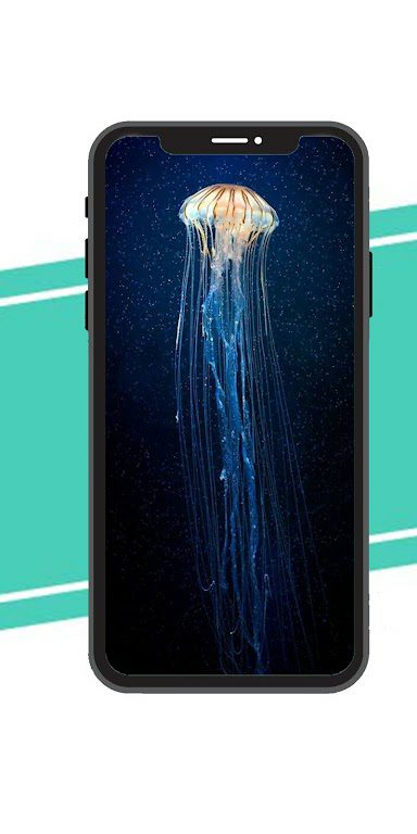 Download Jelly Fish Wallpaper  APK