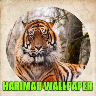 Download Tiger Live Wallpaper HD 2023  APK