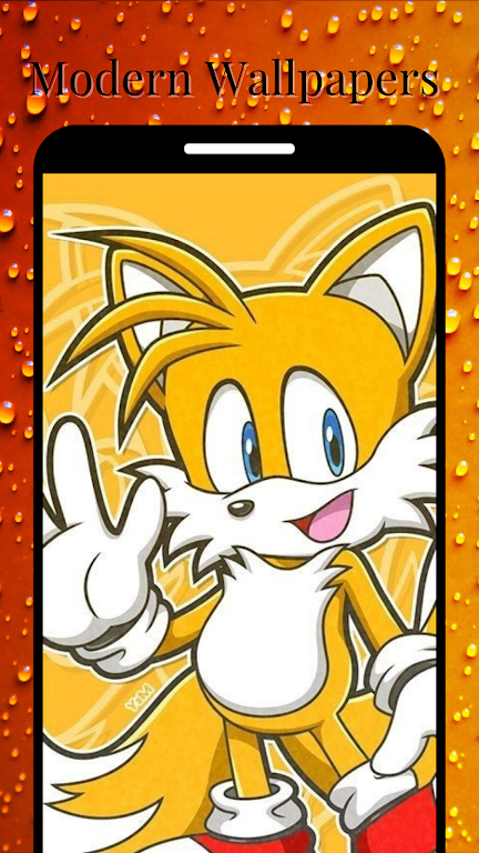 Download Amazing Hedgehog Wallpapers  APK