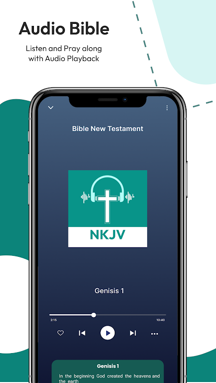 Download NLT - Audio Bible  APK