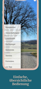 Download Hochfelden  APK