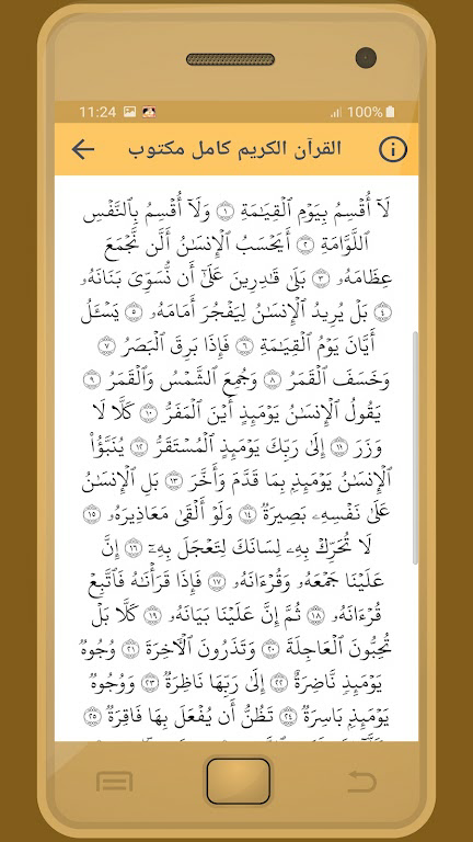 Download Ramadan Eltokhy Holy Quran  APK