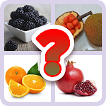 Download Guess The Fruits 2023  APK