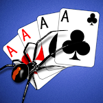 Download Spider Solitaire Classic+  APK