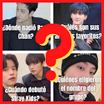 Download Stray Kids Quiz Kpop 0.1 APK