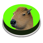 Download Capybara Song | Meme  APK