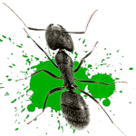 Download Ant smasher  APK