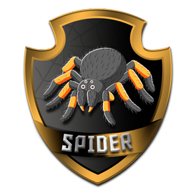 Spider VIP VPN