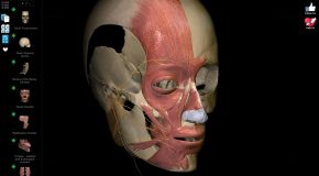 Anatomy Learning - 3D Atlas