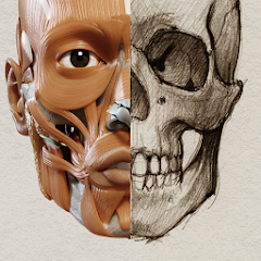 3D Anatomy for the Artist Mod APK 1.2.7.1 [Unlocked]