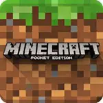 Minecraft 1.20.40