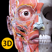 Anatomy 3D Atlas Mod APK 1.0