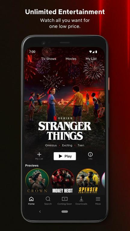 Netflix Apk v8.95.0 build 2 50548