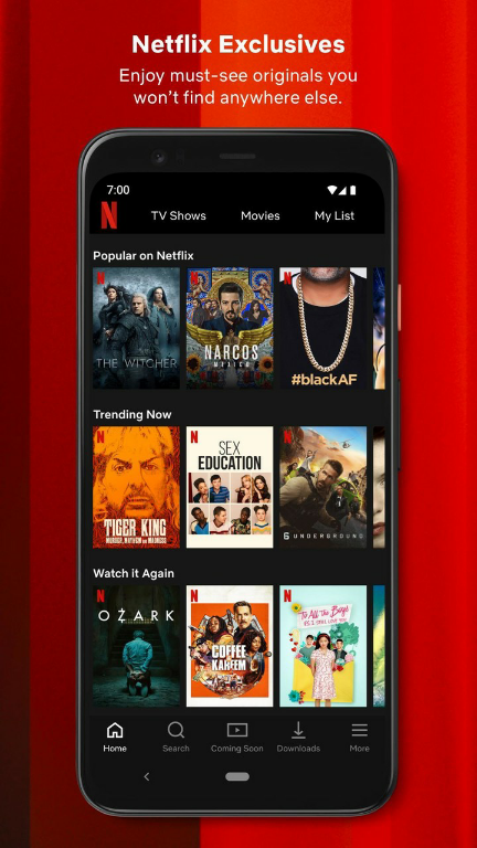 Netflix Apk v8.95.0 build 2 50548