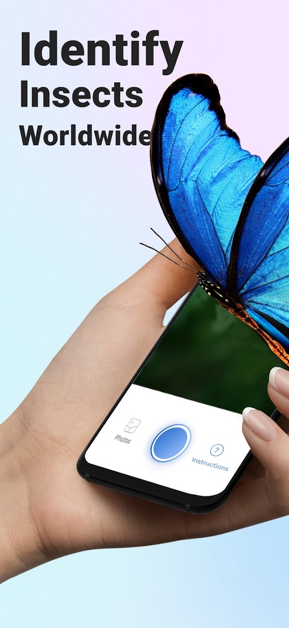 Picture Insect - Bug Identifier(MOD)Mod  Apk v2.8.5