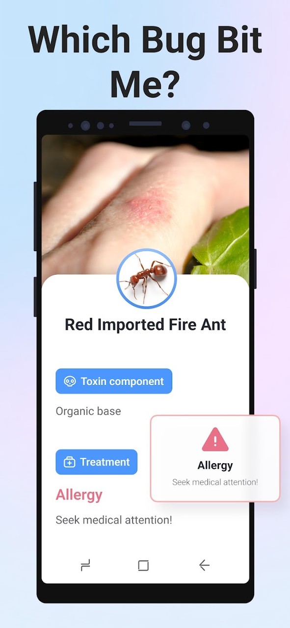 Picture Insect - Bug Identifier(MOD)Mod  Apk v2.8.5