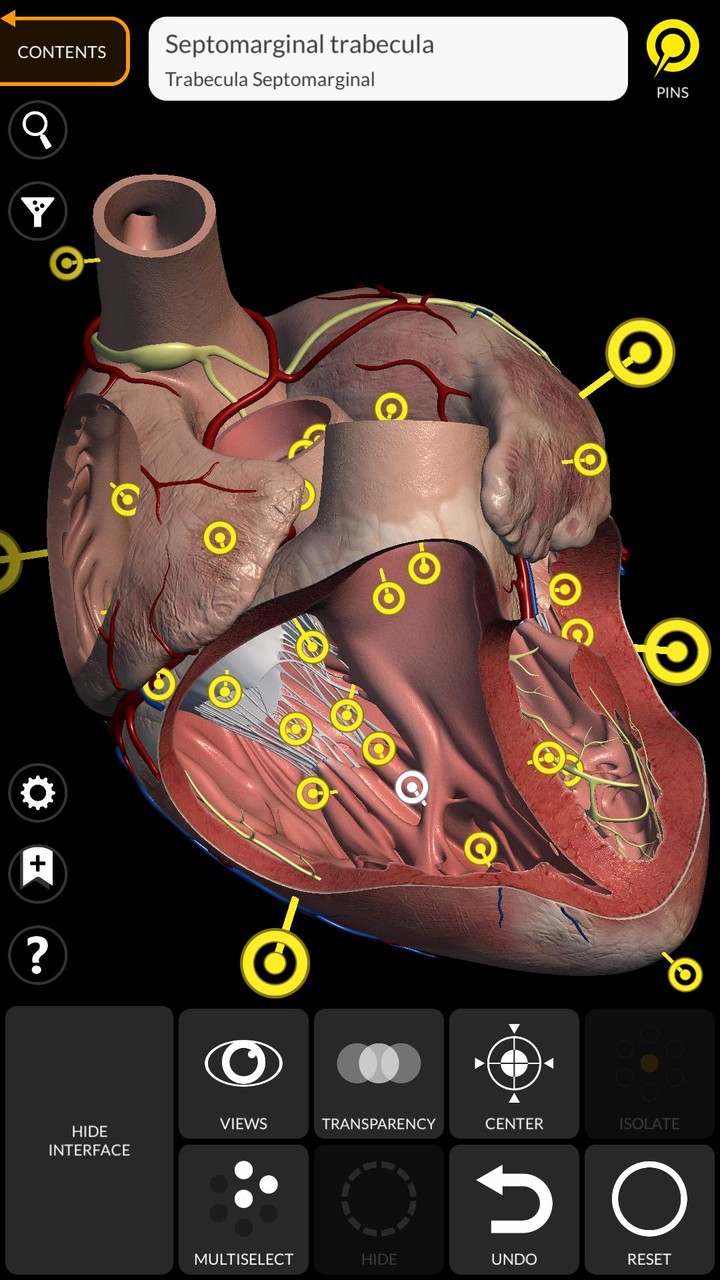 Anatomy 3D Atlas Apk v4.3.0