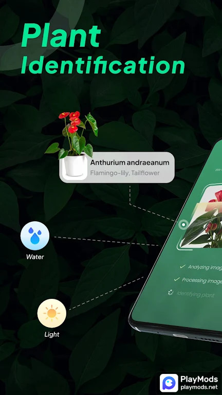 LeafSnap Plant Identification Apk v2.5.0