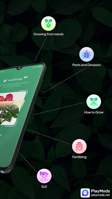 LeafSnap Plant Identification Apk v2.5.0