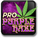 Marijuana Live Wallpaper - PurMod  Apk v3.0(Paid for free)